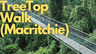 TREETOP WALK VLOG