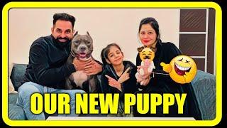 Finally Our New Dog is Here | Family and Dog Videos | Harpreet SDC