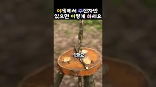 캠핑 필수템을 나무로 직접 만들어보자   #부시크래프트 #야생생존 #캠핑 #삼발이 #우드크래프트