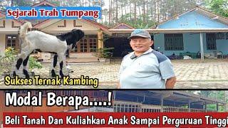 SUKSES....!!TERNAK KAMBING PE KALIGESING BISA BELI TANAH SEKOLAHKAN ANAK#ternakkambing #kambing