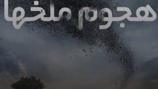 فیلم هجوم ملخ ها (The Swarm)