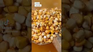 Stone Corn Grinder for nixtamal making! ️️