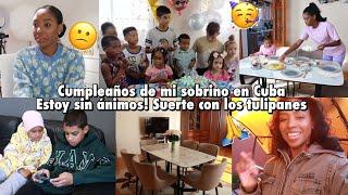 SIN ÁNIMOS DESÉENME SUERTE CON LOSCUMPLE DE MI SOBRINO EN CUBA SEMBRÉ FLORES | 17,19,20 Oct 2024