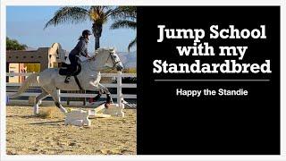 Jump School with my Standardbred | Happy the Standie