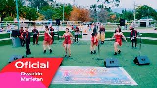 MI CORAZON SUFRE POR TI -  - THE PLAN BOYS (VIDEO OFICIAL)CINEMA 4K