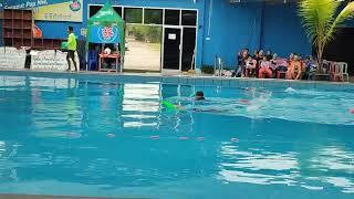 mini competition almagary swimming club 