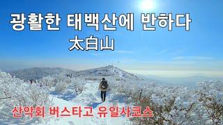 [장군봉 태백산] 태백산의 미친 존재! 강원도 태백 태백산 유일사코스, 산악회 버스타고 겨울왕국에 다녀왔어요,