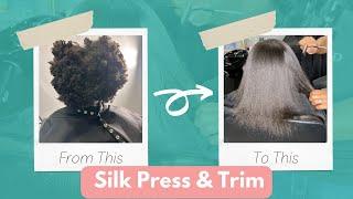 She Overcame Tenderheadedness & Fear Of Getting Her Hair Trimmed To Get A Silk Press 4c Hair