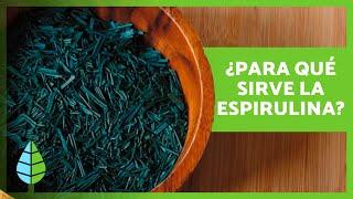 BENEFICIOS de la ESPIRULINA  (Propiedades, Cómo TOMARLA y Contraindicaciones)