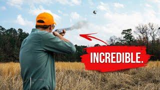 My First Quail Hunt - George Hi Plantation in North Carolina