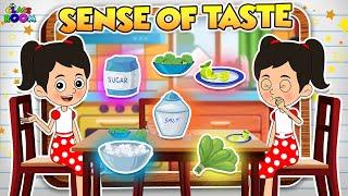 Guess the Taste | The Five Basic Tastes | Sense of Taste | PunToon Classroom