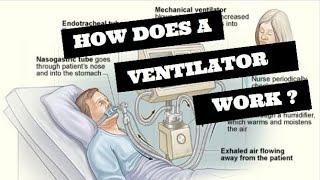 How does a ventilator work ? Elon Musk donates 1,255 ventilators to LA