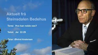 Øivind Andersen: Hva kan redde oss?