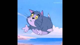 #tomandjerry #systemofadown #soad #amv #amvedit #edit #cartoon #serjtankian