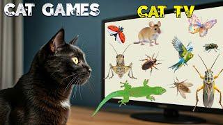 CAT Games | Ultimate Cat TV Compilation for Feline Friend Episode 01 | 4 HOURS of Fun 