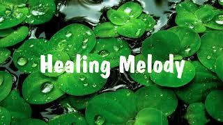 Nature sounds, Stress relief and meditation to clear head and mind  Healing Melody