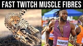 How To Become a FAST TWITCH Animal (Training Principles Explained)