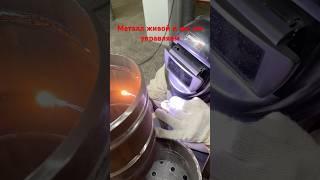 Tig Корень Горизонт Металл Живой 