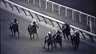 Dr. Fager - 1967 Vosburgh Handicap