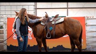 How To Make Sure Your New Saddle Fits Correctly