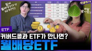 ️ 월배당ETF 63개 총정리 해봤어요ㅣETF