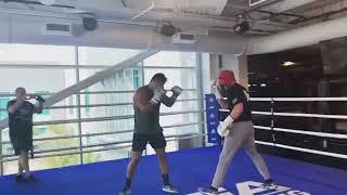 Logan Paul Vs Paulo Costa Sparring Footage RELEASED!