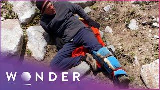 This Man Built Himself A Splint After Falling Off A Mountain | Fight To Survive S3 EP6 | Wonder