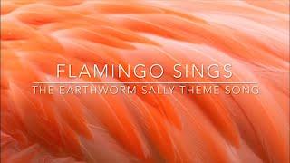 Flamingo Sings-The Earthworm Sally Theme Song