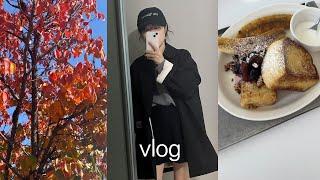 vlog 지난 일상 봐주실 분 찾습니다. 직장인 출근룩과 쇼핑하울 브이로그