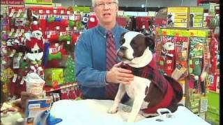 Is Holiday Tree Water Dangerous for Pets? - Petco Pet Tips with Dr. Marty Becker