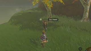 Yiga Disguised Npc Reacts to Yiga Link - Tears of the Kingdom