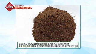 물이 고여도 썩지 않는 마법의 흙?!