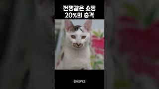 전쟁같은 쇼핑 #강아지수제간식 #강아지케이크# 댕댕이 vs 냥이