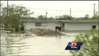 Man leaves home in Indiana, becomes hero to animals during Katrina