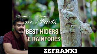 True Facts: Deception in the Rainforest (zefrank1) CG Reaction