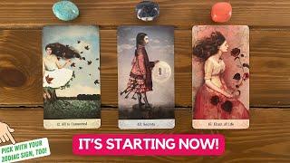 This Has Been Manifesting For You! | Timeless Reading