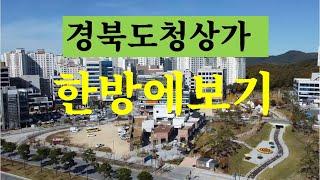 경북도청상가 한방에보기 경북도청천하부동산TV/경북도청신박사