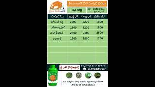 jhk market rate updates | Today Market Prices of Greenchilli & Tomato in Telangana |    @JaiHoKisan