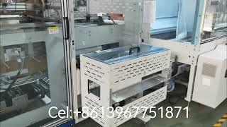 Fully automatic Paper cup packing machine and case erector to USA