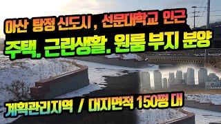 충남 아산시 탕정면 갈산리 토지 분양 / 아산 탕정신도시, 선문대학교인근, 계획관리지역, 원룸. 주택. 근린생활업종 추천