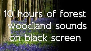  Forest woodland sounds on black screen dark screen high quality white noise ASMR