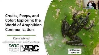 Croaks, Peeps, and Color: Exploring the World of Amphibian Communication