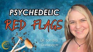 Plant Medicine, Spiritual Awakening, & Ethics of Psychedelic Therapy - with Dr. Sandra Dreisbach