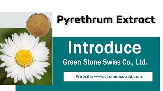 Manufacturer Supply  Pyrethrum Extract, Powder Sales and Price