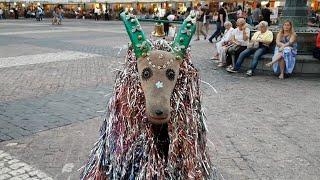 Amazing Goat | Plaza Mayor | Madrid