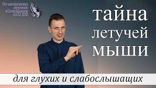 "Тайна летучей мыши"  - христианский рассказ для глухих и слабослышащих, журнал Светильник №23 2021