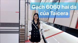 Gạch lát nền 60x60 xương granit 2 da của Taicera