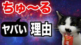 【中毒】ちゅ〜るが美味すぎるヤバい理由を獣医師が解説｜猫のおやつ