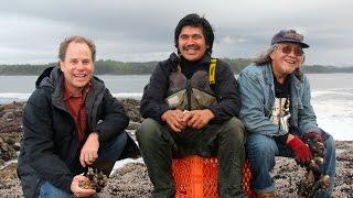 Harvesting Percebes (Goose Barnacles) in Vancouver