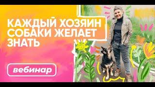 Бесплатный вебинар БО.big «Каждый хозяин собаки желает знать»